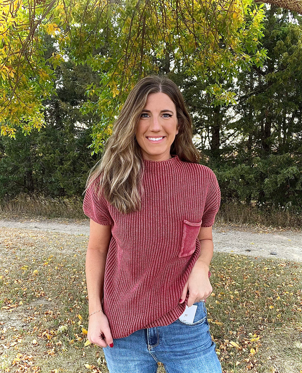 Solid Mock Neck Short Sleeve Knit Sweater